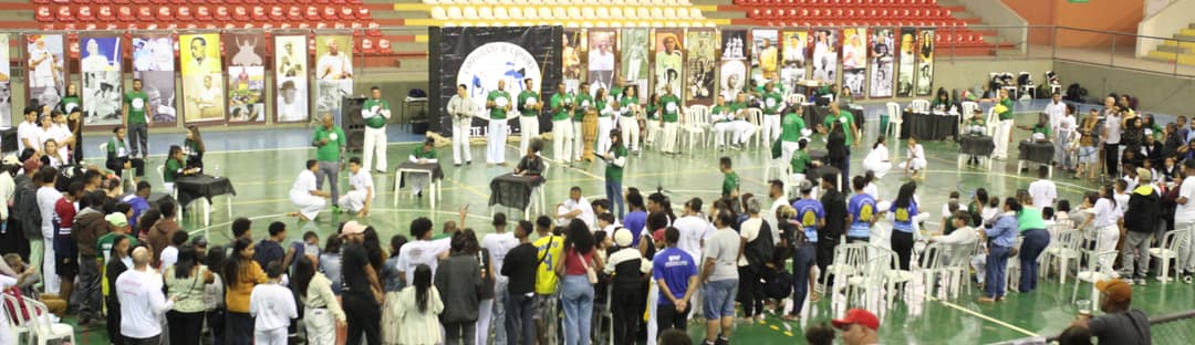 Ginga Arena logo marca